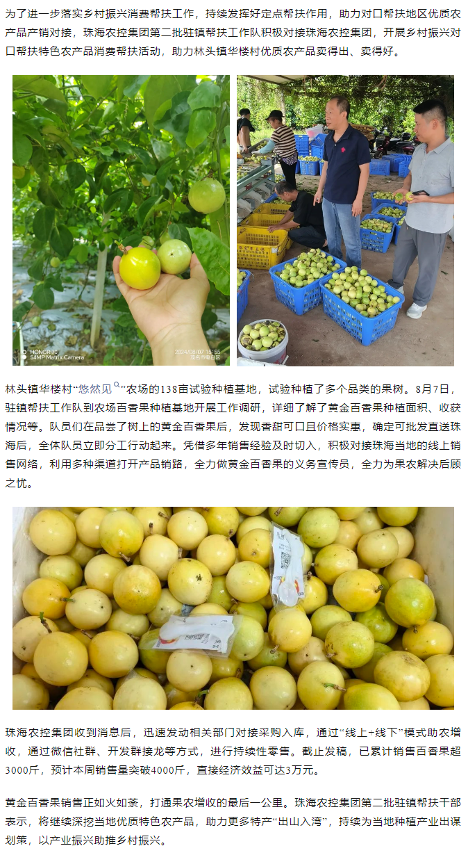 必一体育官方网站_必一体育B-sport(中国)集团助力产销对接 对口帮扶果香飘百里.png